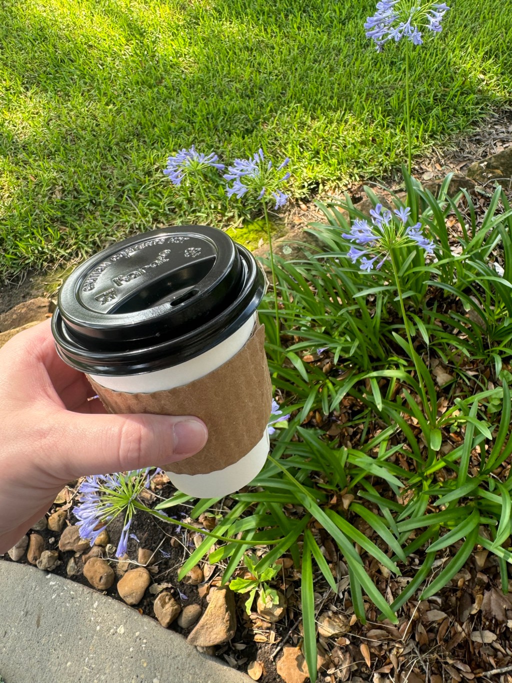 Lattes for Literacy: Week 10&nbsp;Update