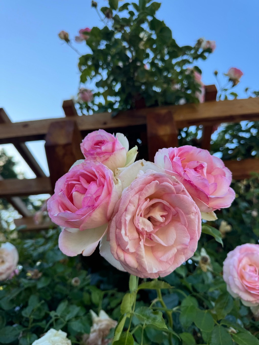 6 on a&nbsp;Saturday