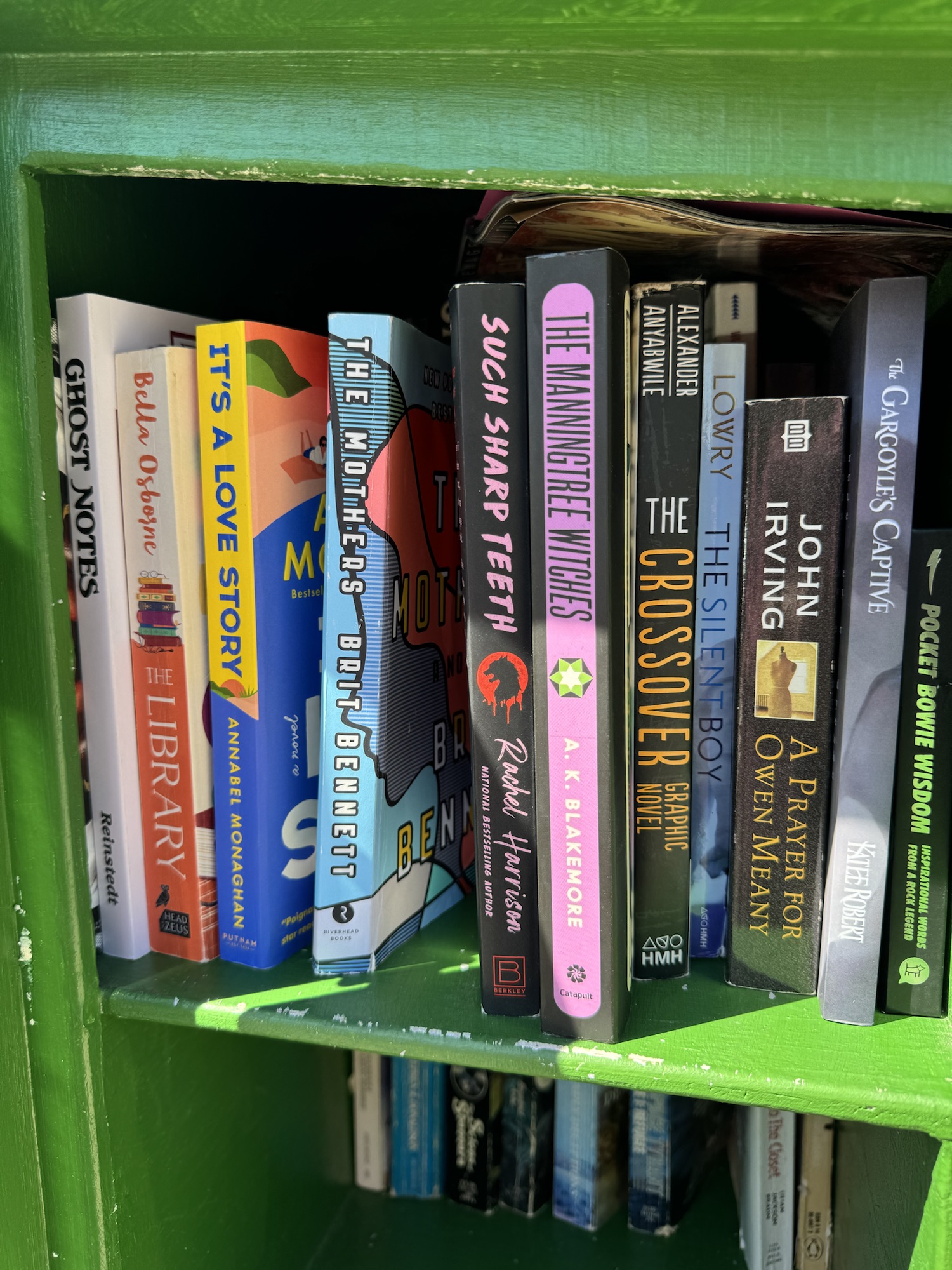 Discovering Hidden Gems in Little Free Libraries