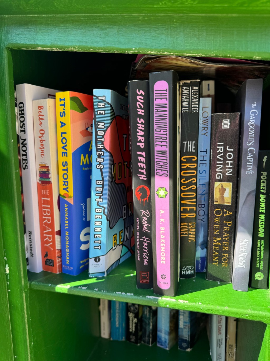 Discovering Hidden Gems in Little Free&nbsp;Libraries