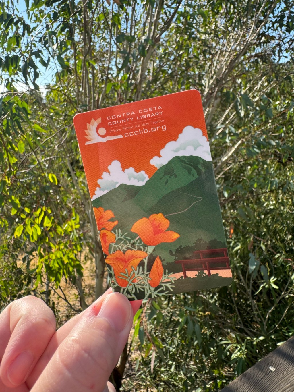 Shelf Reflection: It’s Library Card Sign-up&nbsp;Month!