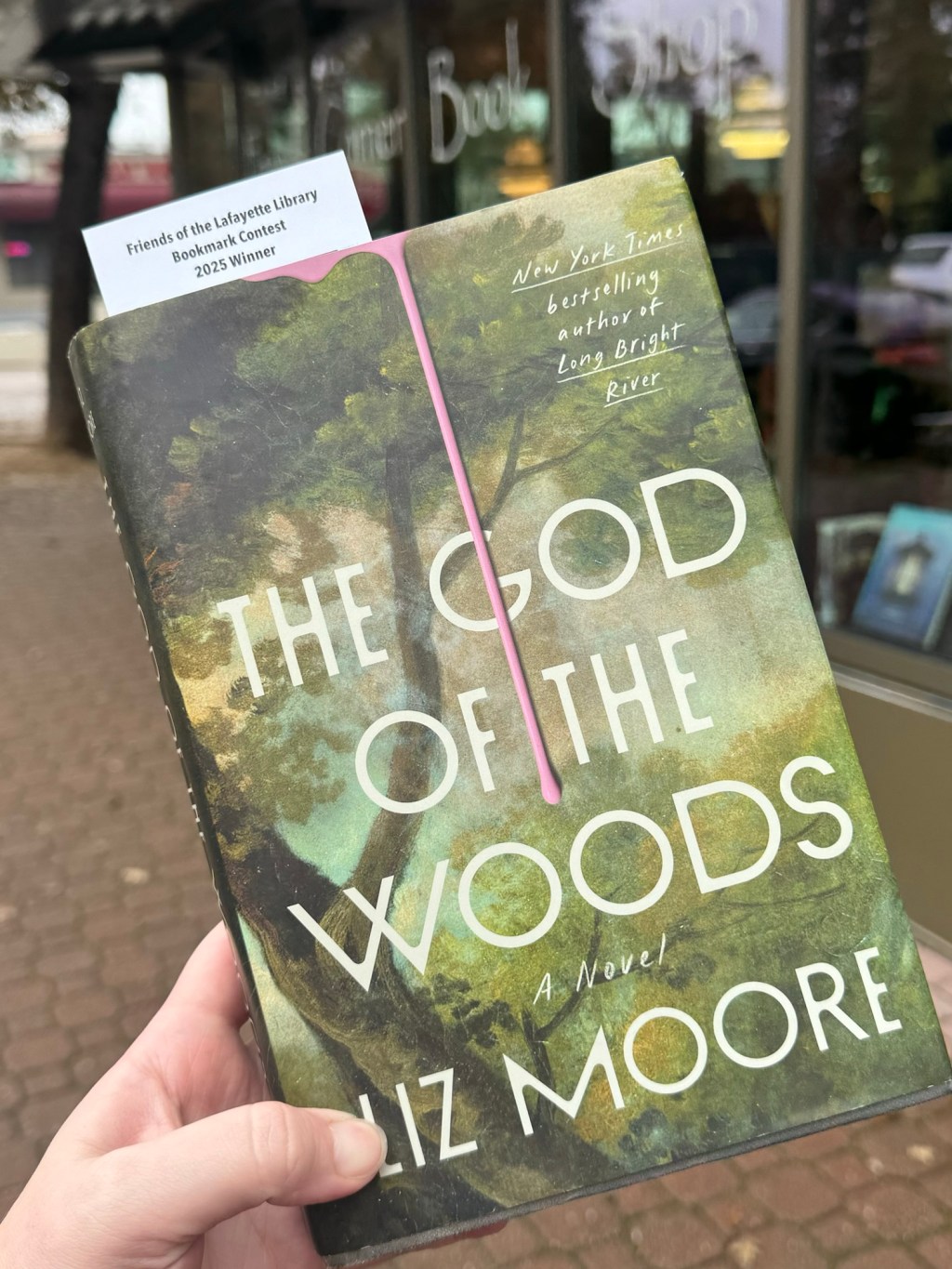 Book Review: The God of the Woods by Liz&nbsp;Moore