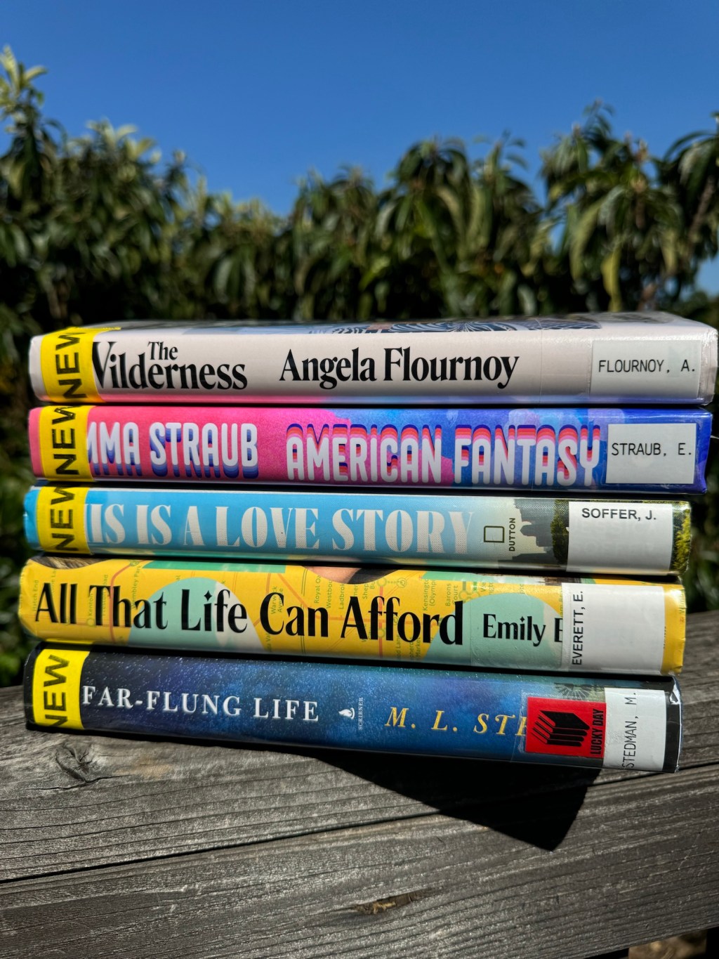 Saturday Library Haul