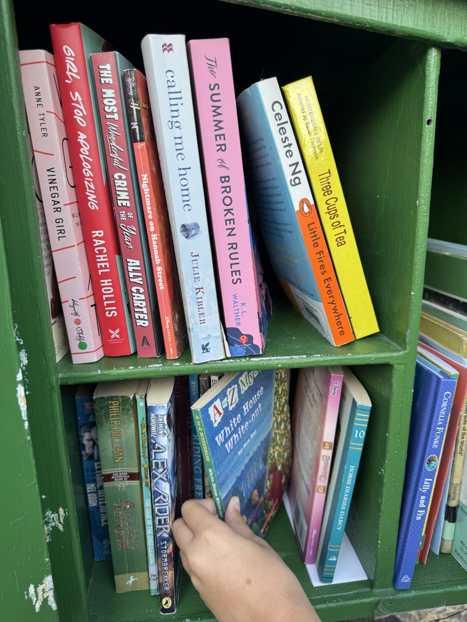 Little Free Library Finds