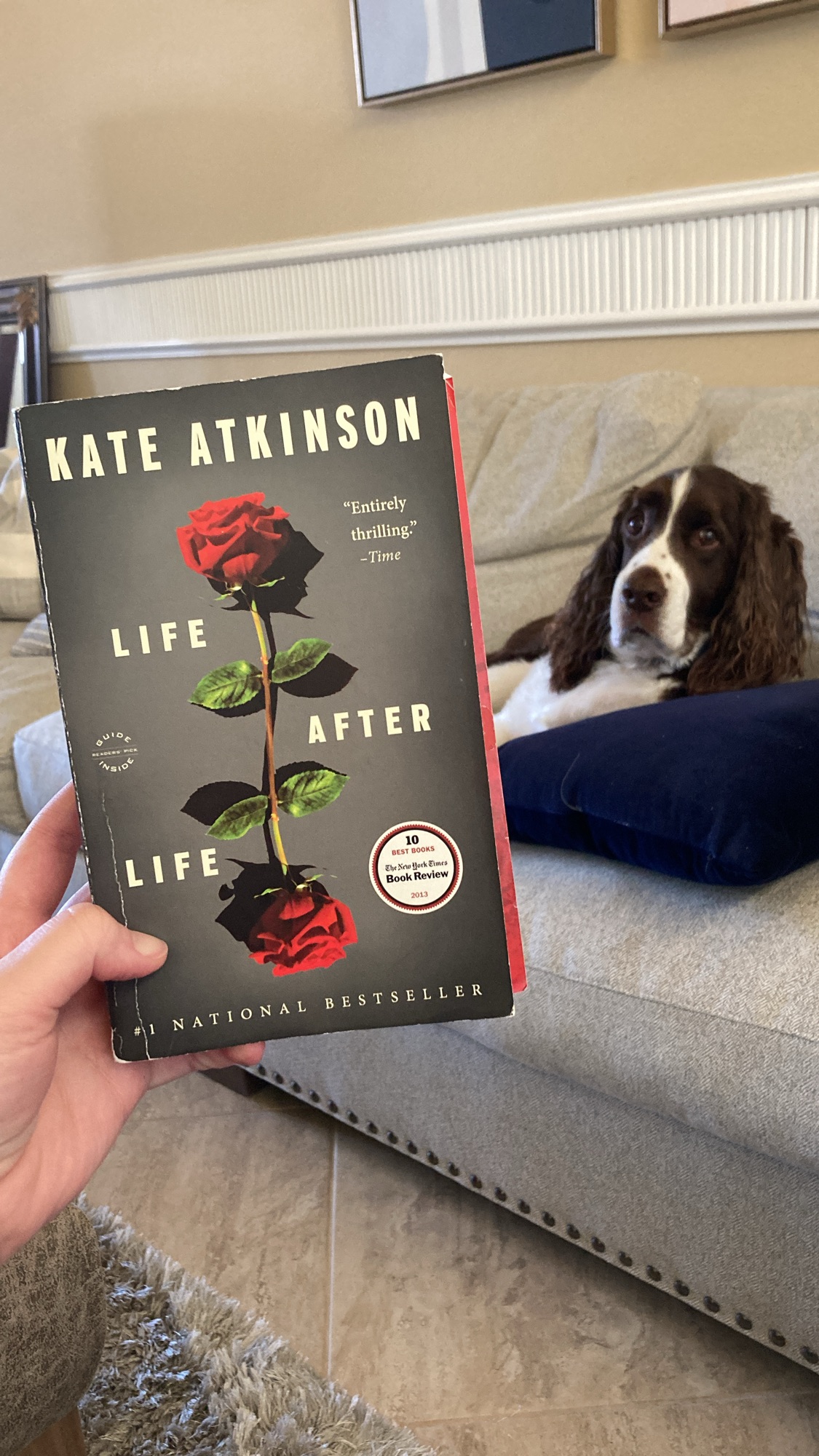Books I’ve Read and Loved from the Women’s Prize for Fiction Longlist
