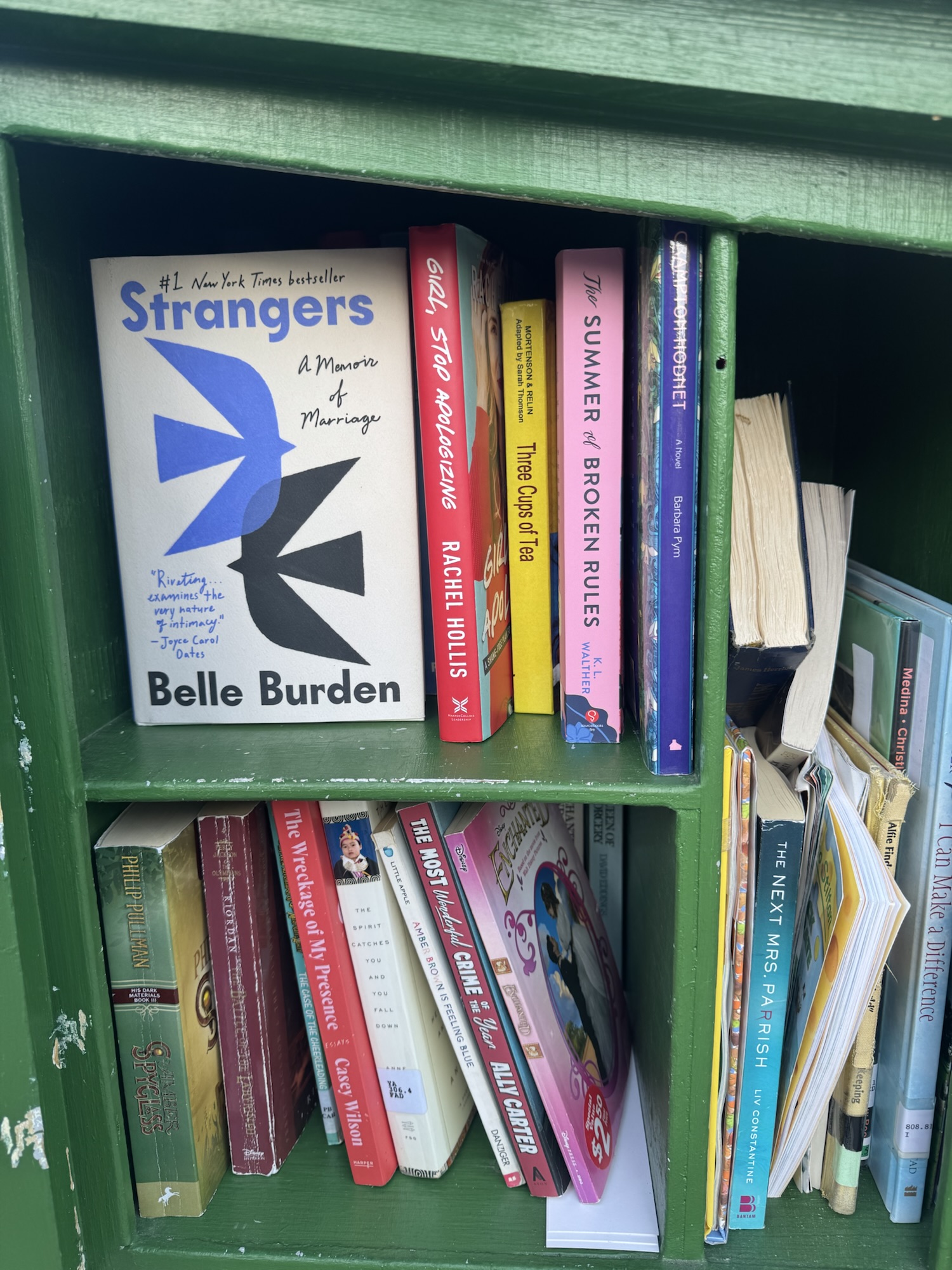 LFL Find: Strangers by Belle Burden