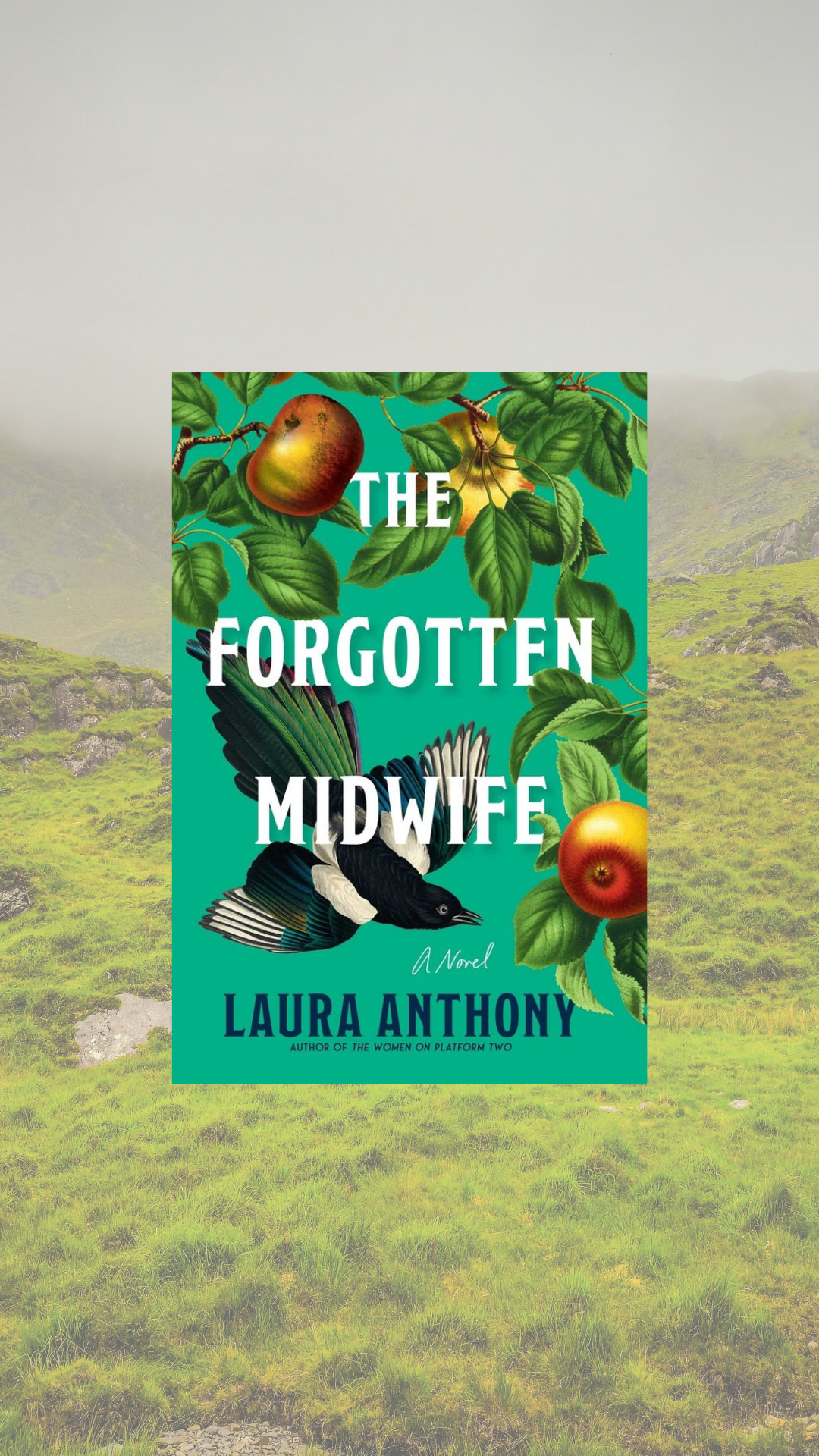 Tuesday TBR: The Forgotten Midwife by Laura Anthony